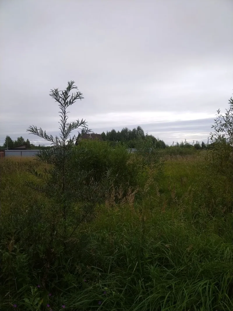 Участок 1 500 м² под садоводство